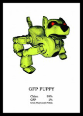 GFP Puppy (2006), France Cadet
